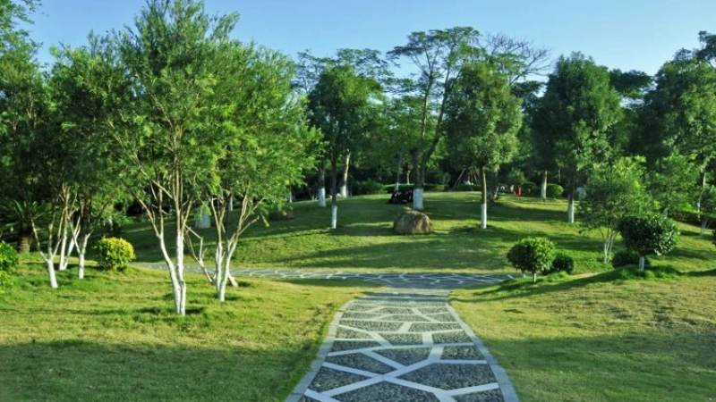 中超联赛直播在哪里看？观赛渠道与信号质量判断方法